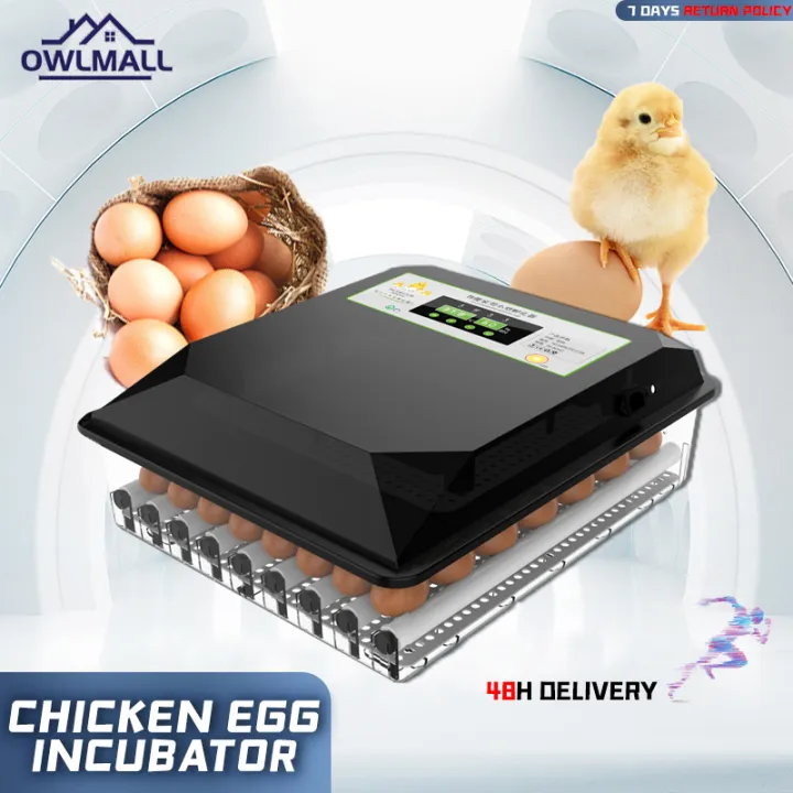 2022 The cheapest 56 egg incubator automatic with hatcher，Fully