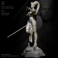 75Mm 124 Resin Model Kits รูปความงามไม่มีสีและประกอบเอง TD-2732