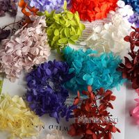 10g/Preserved Hydrangea Paniculata Flowers Ellipse Leaves Office Decor Crystal Glue DIY Flowers Scented Candles Material