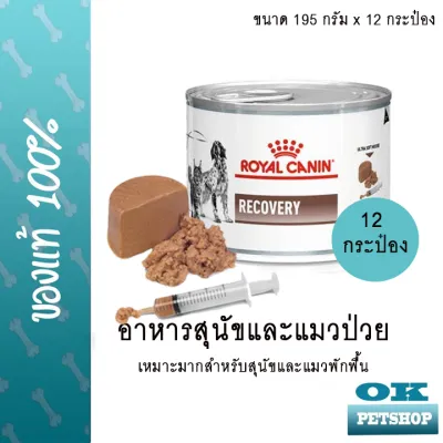 EXP1/25 Royal canin VET Recovery can 195กรัม อาหารสำหรับสุนัขและแมวป่วยหลังพักฟื้น พลังงานสูง 12 กระป๋อง