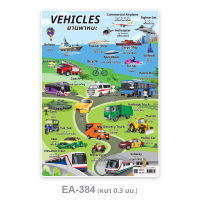 โปสเตอร์ ยานพาหนะ EA-384 โปสเตอร์ขนาดA4 สื่อการเรียนการสอน สื่อการเรียนรู้