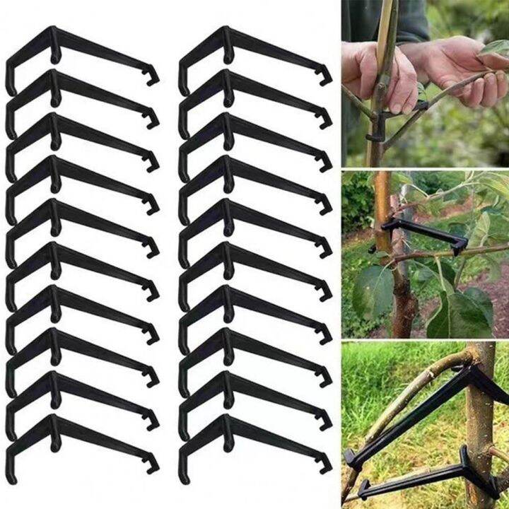 TRYANY Multifunctional Adjustable Plastic Tree Branch Fixe Peach Trees ...