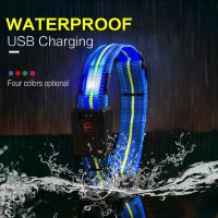 Waterproof Reflective Dog Collar Led Usb Rechargeable Adjustable Nylon Glowing Collar For Dogs Collar Luminous Led Night Safety