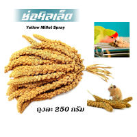 อาหารนก มิลเล็ต Yellow Millet Spray ช่อมิลเล็ต สำหรับนกแก้ว กระต่าย หนู กระต่าย กระรอก ชูก้า และสัตว์ฟันแทะ