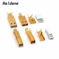 【discount】 candangjiaoe จัดส่งฟรี Haldane One คู่ชุบทอง USB 2.0ประเภท A ถึง USB 2.0ประเภท B ชายปลั๊กสำหรับ DIY สาย USB