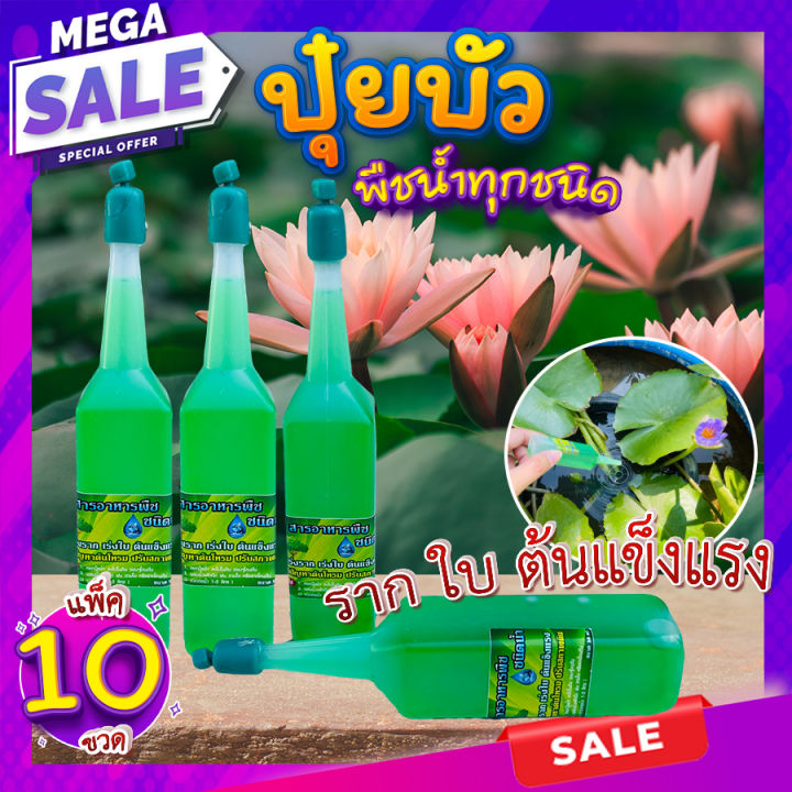 ปุ๋ยบัว-แพ็ค-10-ขวด-ปุ๋ยน้ำไฮโดรโปนิกส์-38-ml-บำรุงทุกส่วน-ราก-ใบ-ต้นแข็งแรง-ปุ๋ยบัวเร่งโต-ปุ๋ยไม้น้ำทุกชนิด-homes