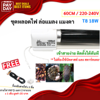 สายหล่อปลั๊ก ST ชุด รางพร้อมหลอด Black Light T8 18W 60CM 220V รางไฟ Black Light ตรวจธนบัตร หาสารเรืองแสง งานปาร์ตี้ ฟรี สายหล่อปลั๊ก 3 เมตร