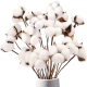 กิ่งดอกไม้เทียมสีขาวดอกไม้ผ้าฝ้ายแห้ง5/10/15/20ชิ้นสำหรับตกแต่งงานแต่งงานบ้านดอกไม้ปลอมใบยูคาลิปตัสตกแต่งดอกไม้
