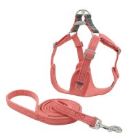 【FCL】✓◇ Dog Harness Hot Sale Products Pets Accessories Label Set Color