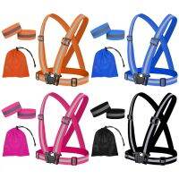 Running Reflective  Adjustable Elastic Waterproof Reflective Gear Straps for Night  Walking Camping Dogs Walking Men Women