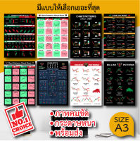 โปสเตอร์หุ้น กราฟแท่งเทียน ชาร์ตแพทเทิร์น Candlestick Chart Pattern (A3) หุ้น หนังสือหุ้น เพิ่มความจำ ภาพคมชัด กระดาษหนา ส่งไว