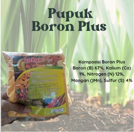 Pupuk Boron Plus Micro Fertilizer | Lazada Indonesia