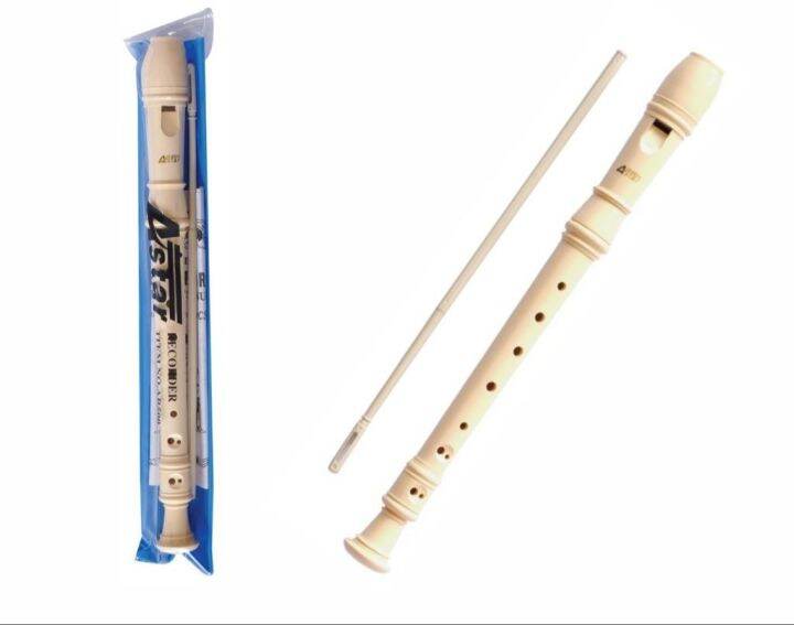 Recorder Music Learning Instrument Astar Lazada