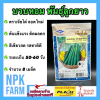 ผักซอง เจียไต๋ บวบหอม พันธุ์ลูกยาว จำนวน 8 เมล็ด/ซอง เมล็ดพันธุ์ ลอตใหม่ งอกดี ปลูกง่าย โตไว สีเขียวสด รสชาติดี ติดผลดก ระยะเก็บ 50-60 วัน