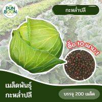 [10 แถม 1] ปันบุญออร์แกนิค เมล็ดพันธ์ุผัก เมล็ดพันธ์ุ กะหล่ำปลี Cabbage  บรรจุ 1 ซอง ประมาณ 200 เมล็ด งอกง่าย โตไว