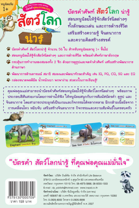 inspal-หนังสือ-my-first-flash-card-series-บัตรคำชุดแรกของหนู-สัตว์โลกน่ารู้