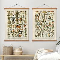 Vintage Plant Mushrooms Scroll Poster Canvas Painting Wall Print Picture With Magnetic Hanger Teak Wood Frames Interior Decor Drill Bits  Accessories