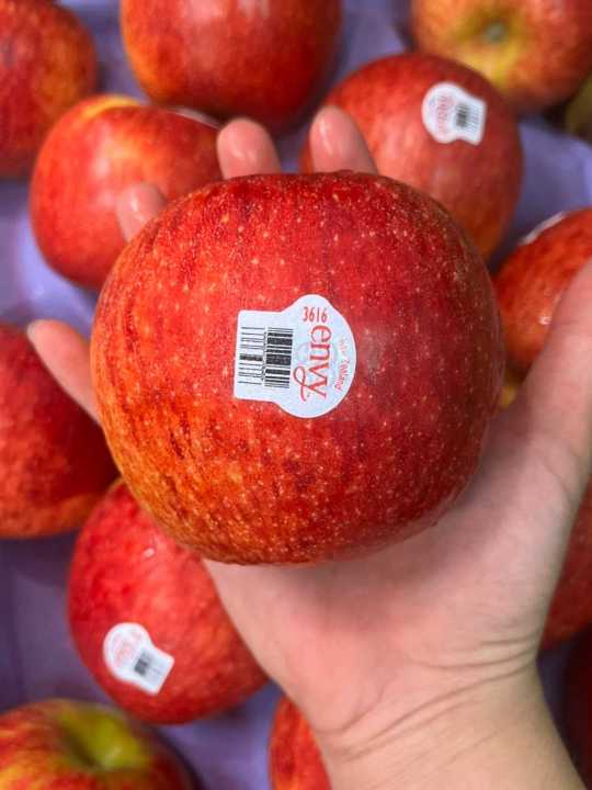 แอปเปิ้ลเอนวี่-envy-apple-newzealand-usa-apple-หวาน-กรอบ-อร่อย-ราคา-1ลูก-ไซส์m