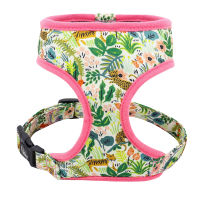 Nylon Dog Harness And Leash Set Fashion Printed No Pull Pet Dog Harness Vest Lead Leashes For Small Medium Large Dogs