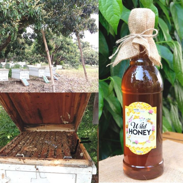 น้ำผึ้งดอกไม้ป่า-แท้-100-ขวดใหญ่-1-000-กรัม-คุ้มสุดๆ-น้ำผึ้ง-น้ำผึ้งป่า-น้ำผึ้งแท้