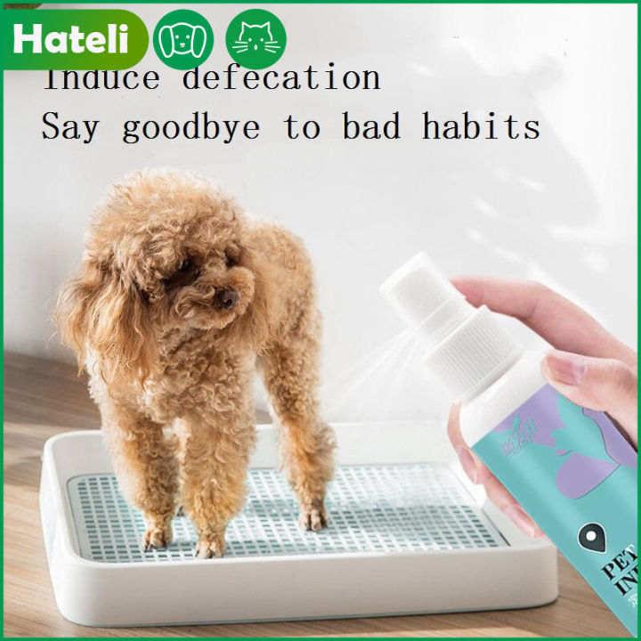 HATELI 120ml Pet Dog Spray Inducer Dog Toilet Training Puppy Positioning Defecation Pet Potty