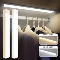 【CC】 Night Sensor Lights USB Rechargeable Magnetic Wardrobe Cabinet Lamp Bedroom