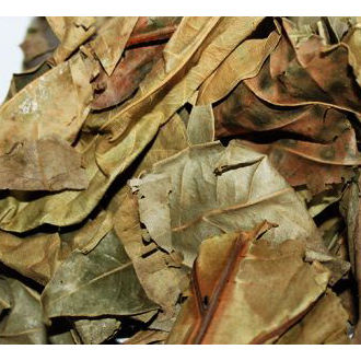 Dried Bay Leaves serai kayu / Daun Salam Kering 20 Gram | Lazada