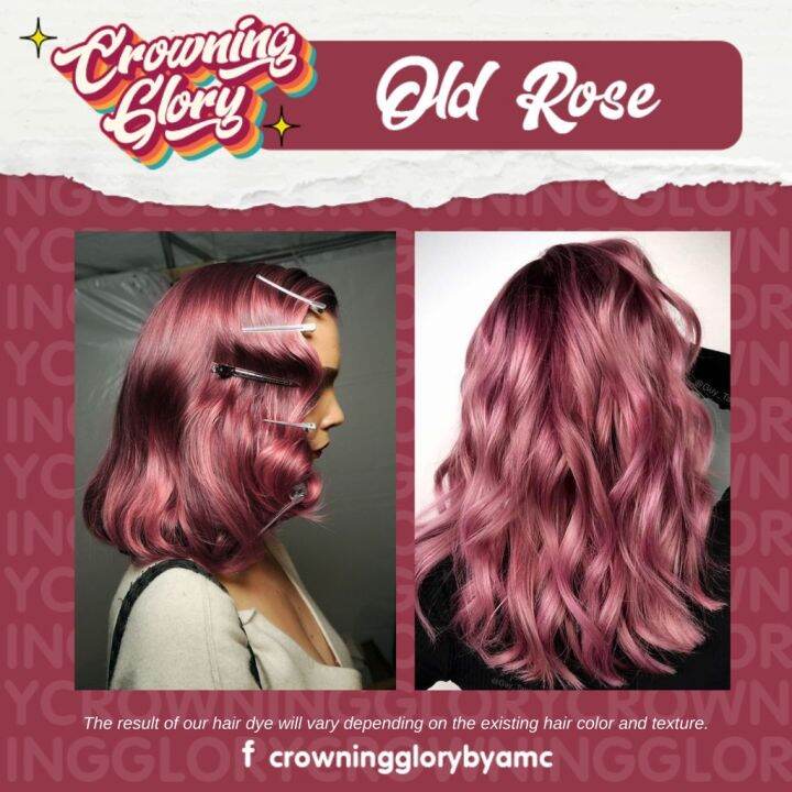 HAIR COLOR Crowning Glory SemiPermanent Hair Dye Bleaching Set