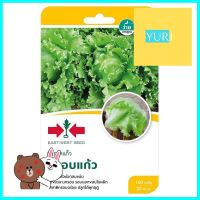 เมล็ดพันธุ์ผักกาดแก้ว กรอบแก้ว ศรแดงICEBERG LETTUCE SEEDS SORNDAENG KROBKEAW **สามารถออกใบกำกับภาษีได้ค่ะ**