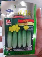 เมล็ดพันธุ์ แตงกวา พันธุ์ไฮโซ cucumber hiso แตกแขนงดี ดูแลน้อย ต้นแข็งแรง ปลูกง่าย น้ำหนักดี ผลผลิตสูง ทนโรค