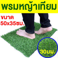 พรมหญ้าเทียม พรมเช็ดเท้า ขนาด 50x35ซม. 30มม. พรมดักฝุ่น ดักฝุ่น กันฝุ่น หญ้าเทียม หญ้าเทียมราคาถูก มีรูระบายน้ำ ปูพื้น พรมตกแต่งบ้าน