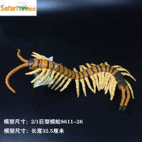 ? Big Player Series~ American Safari Simulation Land Arthropod Giant Centipede Model Childrens Toys Over Three Years Old