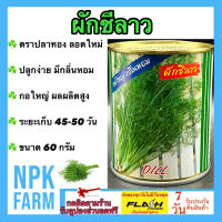 ผักชีลาว ขนาด 60 กรัม เมล็ดพันธุ์ ปลาทอง ลอตใหม่ งอกดี กอใหญ่ นำ้หนักดี ปลูกง่าย ให้ผลผลิตสูง ปลูกได้ทั้งปี ระยะเก็บเกี่ยว 45-50 วัน npkplant