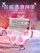 Kalinba QIN 17-Tone ngón tay cái Đàn Piano 21