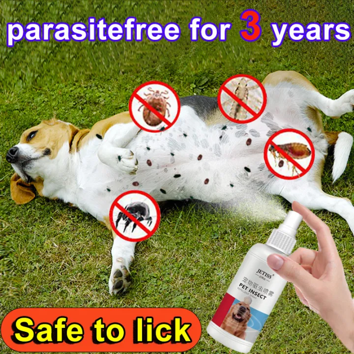 Ticks Away 100ml 100% Authentic Pet anti bacterial spray Tick and flea ...