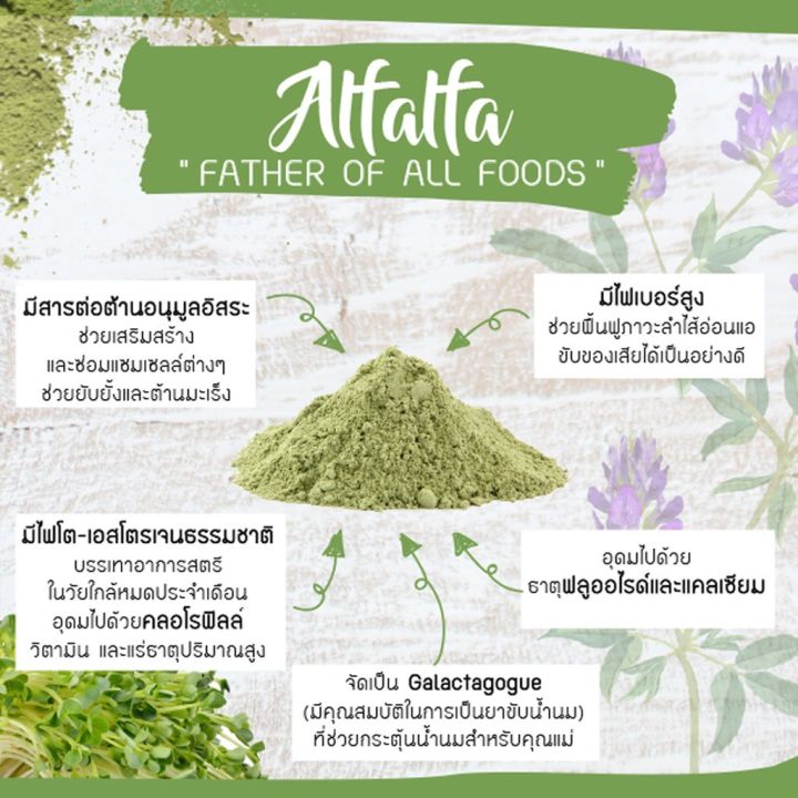 organic-seeds-ผงอัลฟัลฟ่า-alfalfa-powder-50g