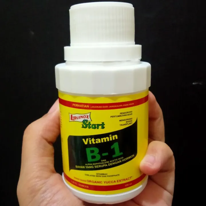 Pupuk Vitamin B1 Tanaman Liquinox Vitamin Tanaman Anti Stress | Lazada ...