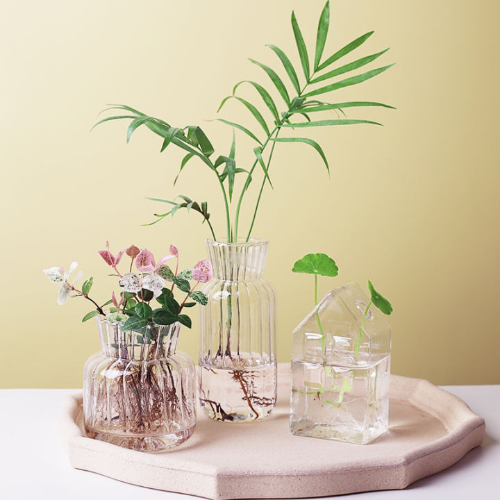 terrarium-hydroponic-plant-vases-flowers-vase-frame-glass-tabletop-plants-glass-vase-home-decor