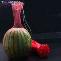 ▬№ 100Pcs Reusable Red Gardening net plastic mesh bags of fruit string watermelon grown bag Fruit growth mesh 4 size