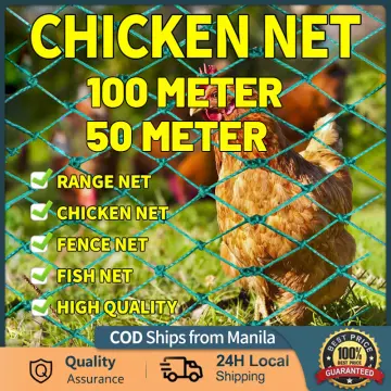 Shop Chicken Net 6ft 100 Meter with great discounts and prices