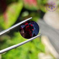 พลอยสเปสซาไทท์ (Spessartite Garnet) 17.73 กะรัต สีแดงเข้ม รูปร่างไข่ เนื้อพลอยค่อนข้างสะอาด แทบไม่มีตำหนิ ในเนื้อพลอย พลอยดิบไม่มีการเผา