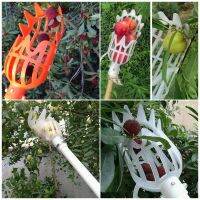 [AMO Garden Decoration]1ชิ้นพลาสติกผลไม้หยิบเครื่องมือตัวเลือกผลไม้โดยไม่ต้องโพสต์ผลไม้จับฟาร์มสวนฮาร์ดแวร์หยิบอุปกรณ์เรือนกระจกเครื่องมือ