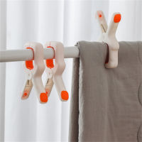 Clothespin Stainless Steel Clothes Pegs Laundry Clothes Pins Beach Towel Clamp Plastic Color Clothes Pegs