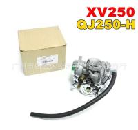 [COD] Wholesale suitable for Tianwang XV250 carburetor motorcycle accessories Qianjiang QJ250H