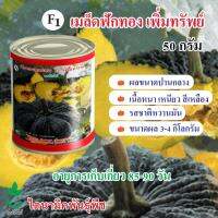 เมล็ดฟักทอง ลูกผสม เพิ่มทรัพย์ ขนาด 50 กรัม 1 กระป๋อง จาก ไดนามิคพันธุ์พืช Hybrid Pumpkin seeds (ฺPermsub) 50 grams from Dynamic Seeds