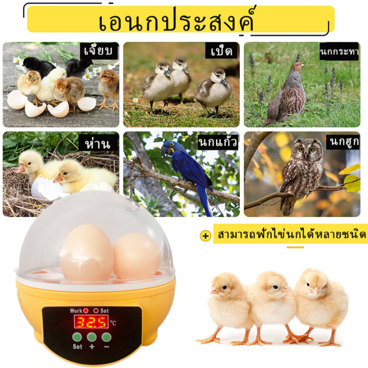 ส่งฟรีด่วน-ตู้ฟักไข่ถูกๆ-7-ฟอง-เครื่องฟักไข่-ตู้ฟักไข่ไก่-เครื่องฟักไข่อัตโนมัติ-ตู้ฝักไข่ไก่-เครื่องฟัก-อัตโนมัติ-ไข่ไก่-นก-รับประกัน