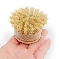 Washing Up Brush,Dish Brush,30 Pcs Replacement Brush Heads Wooden Cleaning Dish Brush Refillable Kitchen Beech