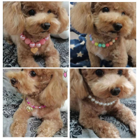 Pearl สร้อยคอสุนัขแฟชั่นอัญมณี Puppy Cat COLLAR Bling Rhinestone สี Candy สุนัขสัตว์เลี้ยงอุปกรณ์เสริม-sdfwerwewewq