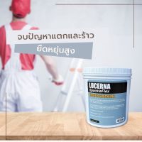 Lucerna SpackleFlex ซ่อมรอยร้าวชนิดยืดหยุ่น