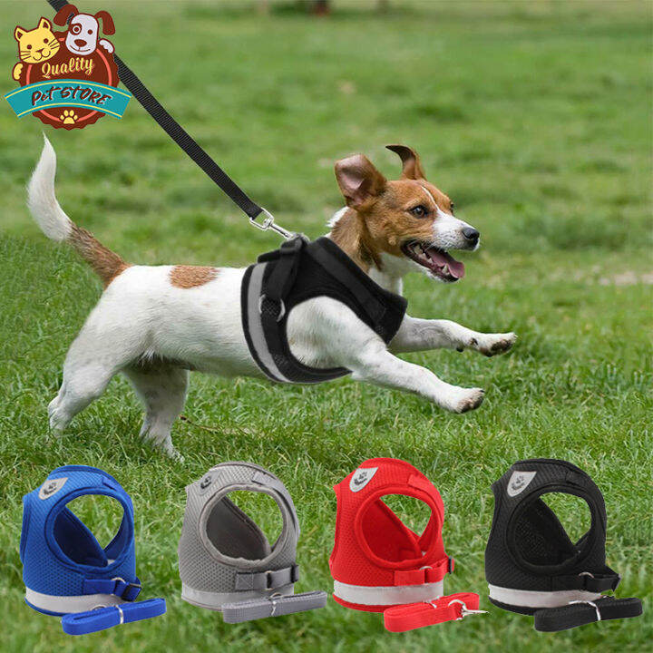 Dog Harness Leash Set No Pull Breathable Mesh Pet Cat Sling Adjustable Reflective Puppy Kitten